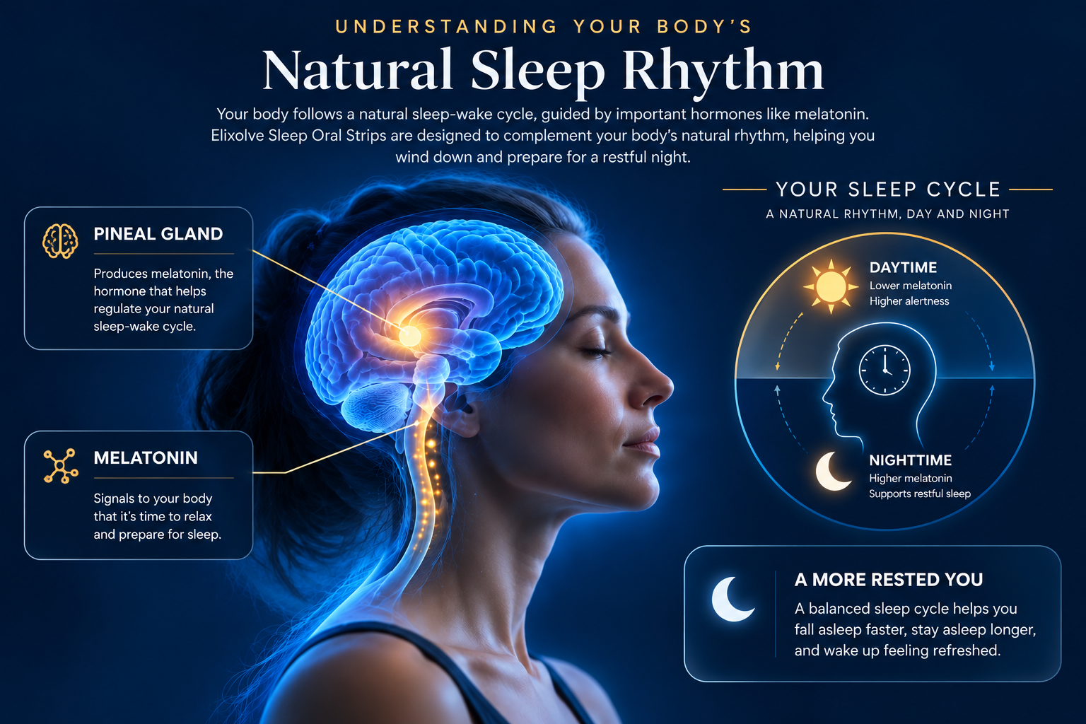 Illustration of the natural sleep-wake cycle and melatonin